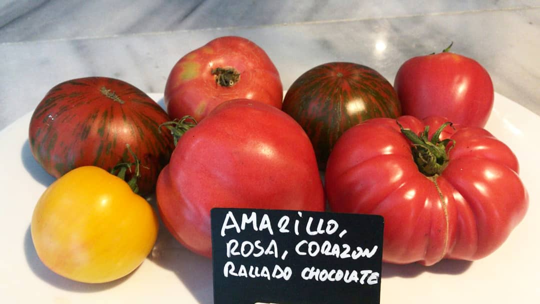 Tomate de Vega, estamos en temporada y nos encanta su sabor